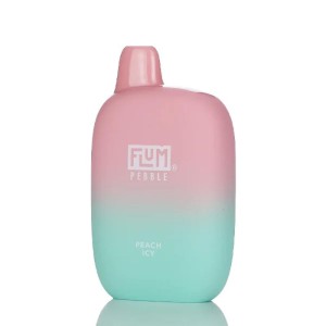 Peach Icy Flum Pebble Rechargeable Disposable 6000 Puffs